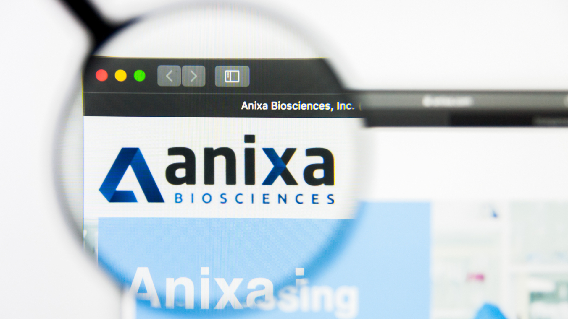 Anixa