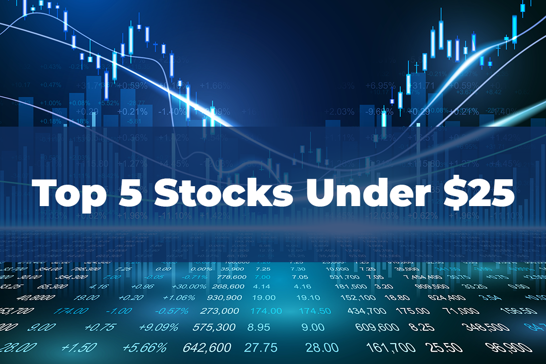 Top 5 Stocks Under 25 Best Value Picks for 2024 Trade of the Day