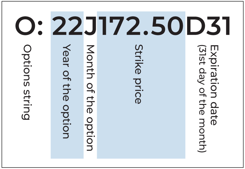 options model