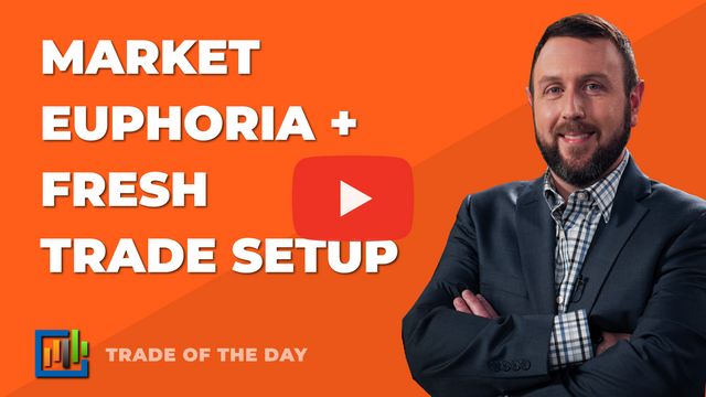 Market Euphoria + Fresh Trade Setup